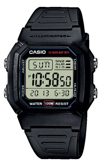 CASIO COLLECTION W 800-1