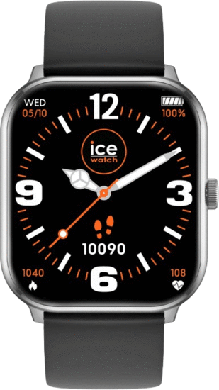 ICE-WATCH 021411