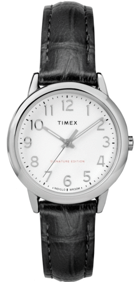 TIMEX Easy Reader 30mm Leather Strap Watch TW2R65300