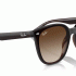 Ray-Ban RB4423D 714/13